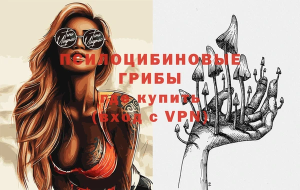 прущие крисы Михайловск