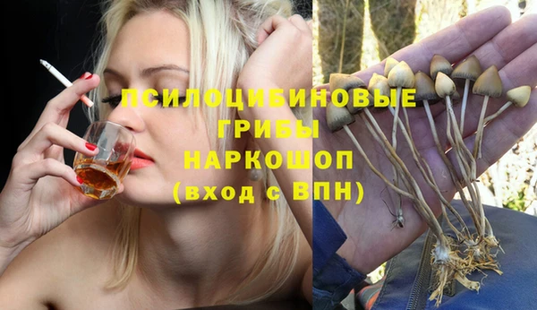 ALPHA PVP Надым