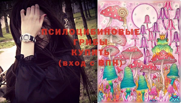 дмт Михайлов