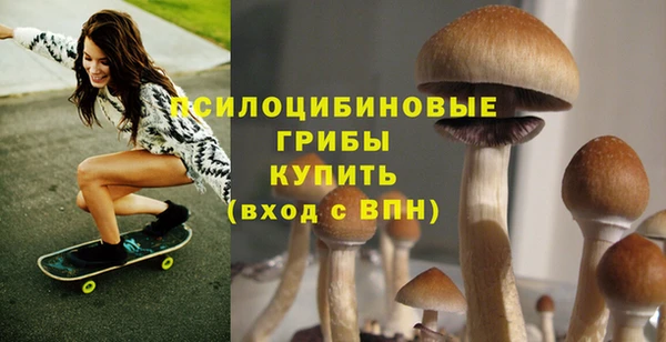 дмт Михайлов