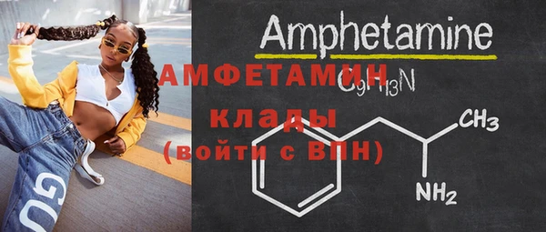 индика Вязьма