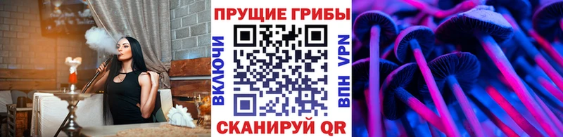 ссылка на мегу рабочий сайт  Новый Оскол  Псилоцибиновые грибы мицелий 